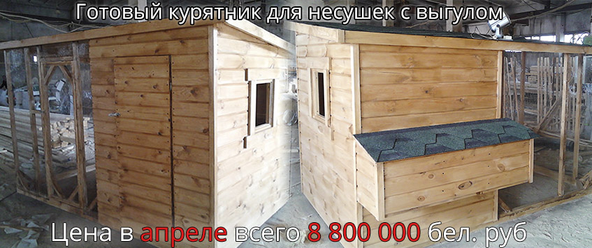 Курятники в Минске, Гомеле, Бресте, Могилеве, Беларуси